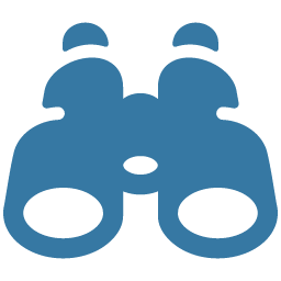 Strategic Visioning